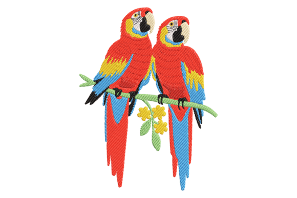 Scarlet Macaws: A Designer’s Review for Real Projects